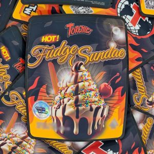 Hot Fudge Sundae